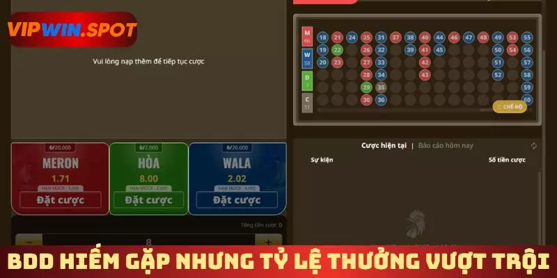 BDD hiếm gặp nhưng tỷ lệ thưởng vượt trội 