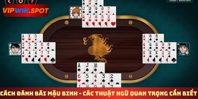Cách đánh bài mậu binh - Các thuật ngữ quan trọng cần biết