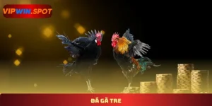Đá gà tre