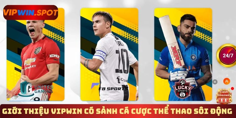 Giới thiệu Vipwin có sảnh cá cược thể thao sôi động