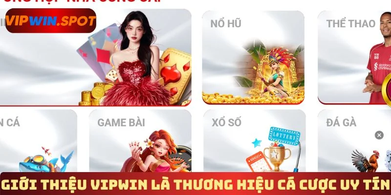 Giới thiệu Vipwin là thương hiệu cá cược uy tín 