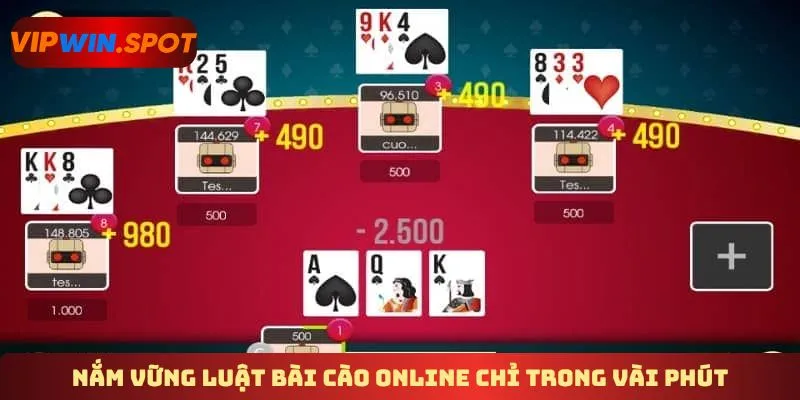 Nắm vững luật bài cào online chỉ trong vài phút